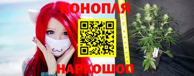 шишки Жуковский