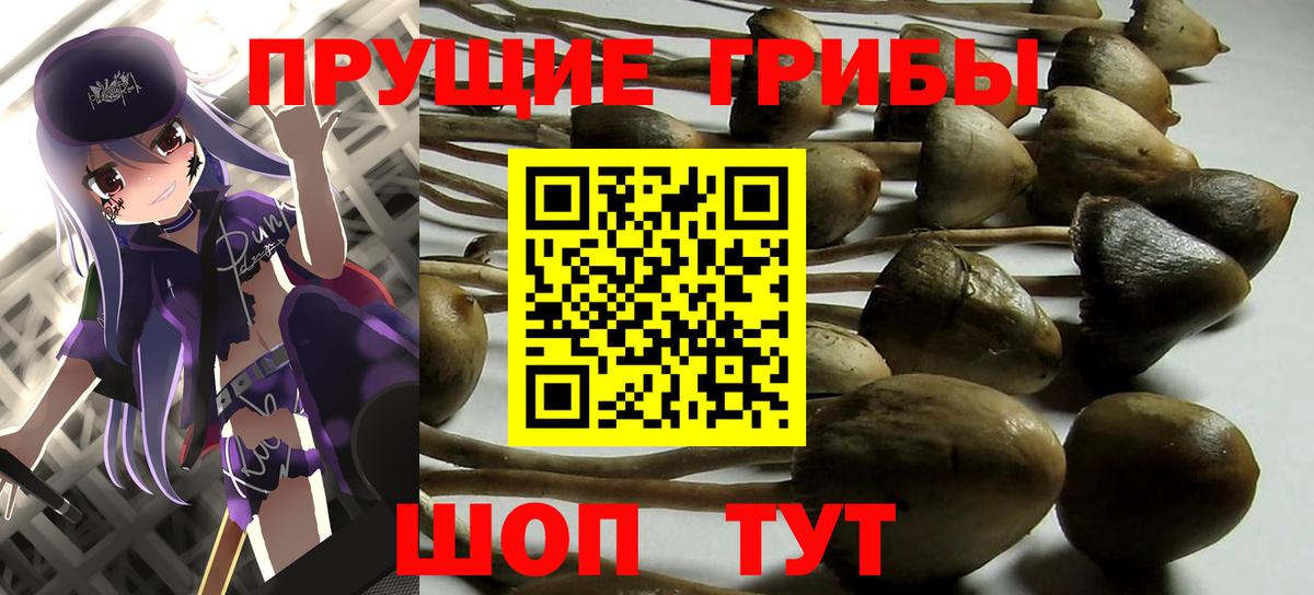 Галлюциногенные грибы мицелий Муравленко