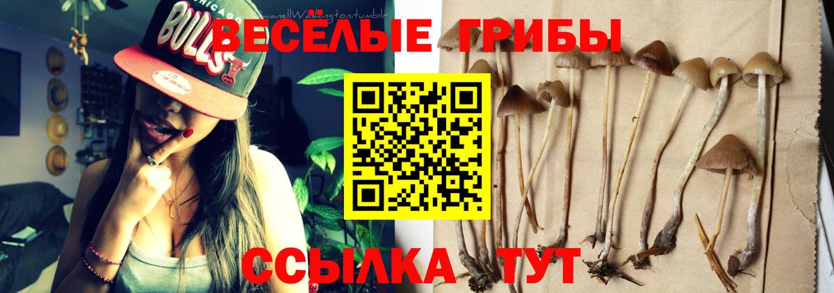 Муравленко  Псилоцибиновые грибы мухоморы  Вход с VPN 